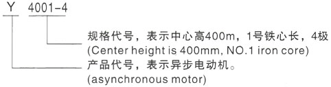 西安泰富西玛Y系列(H355-1000)高压萍乡三相异步电机型号说明